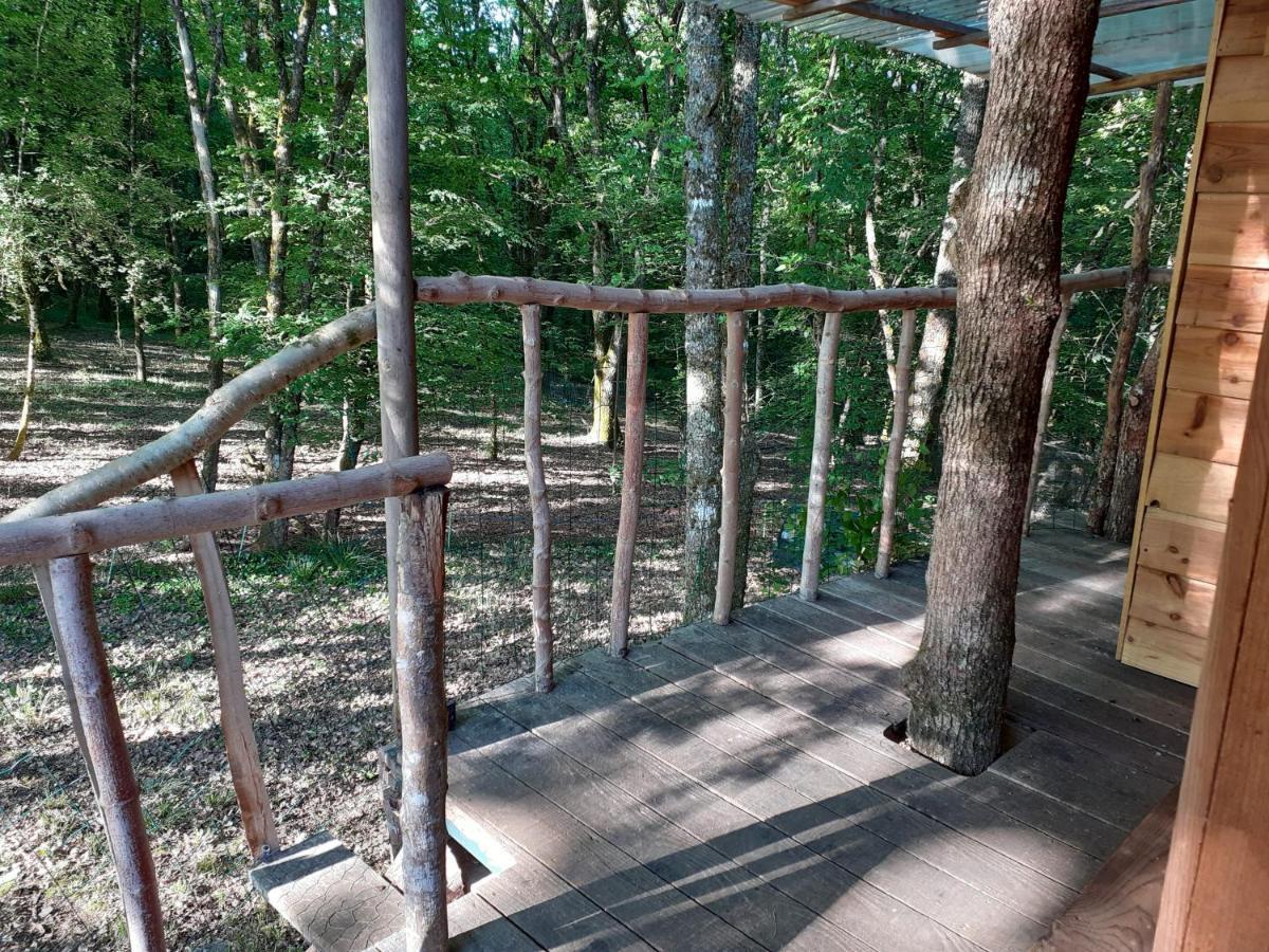 La Cabane De L'Oiseau Couze-et-Saint-Front Luaran gambar