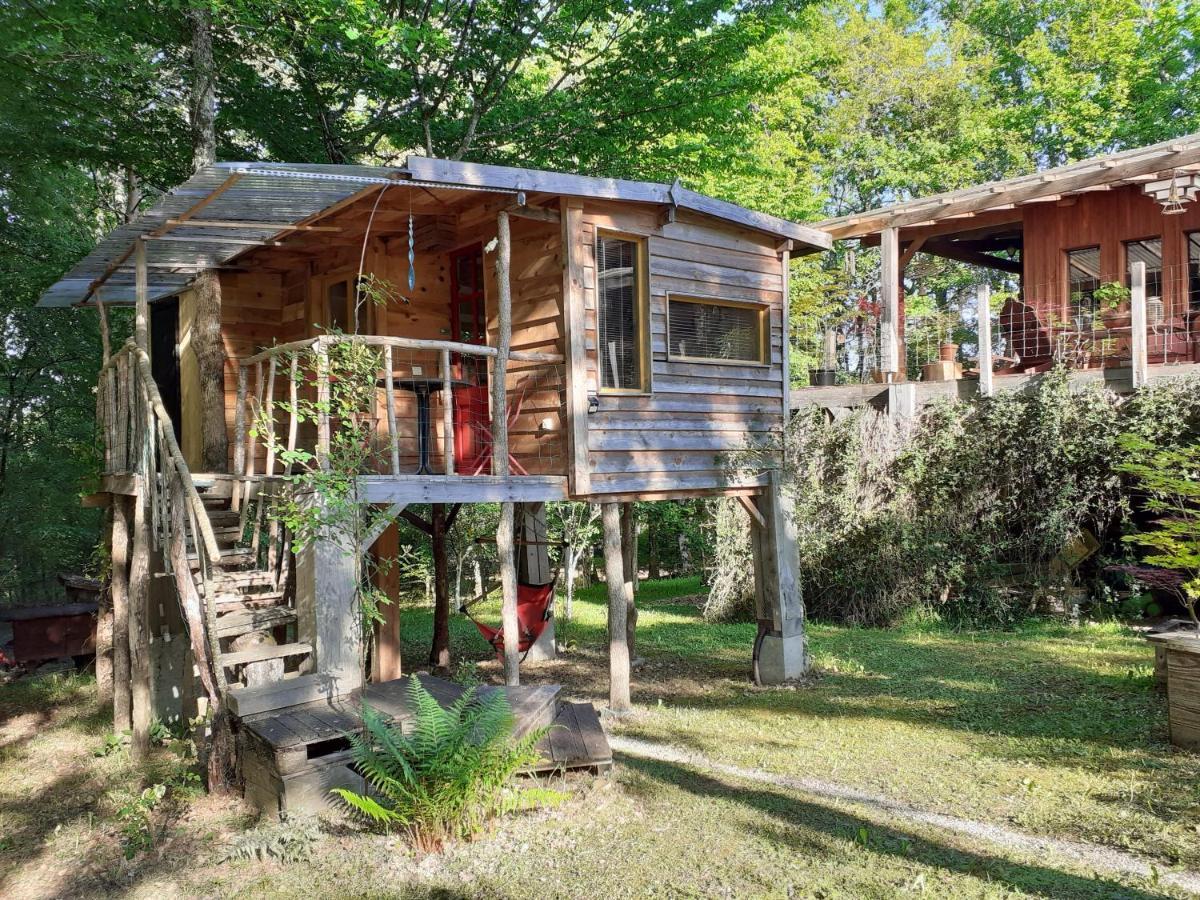 La Cabane De L'Oiseau Couze-et-Saint-Front Luaran gambar