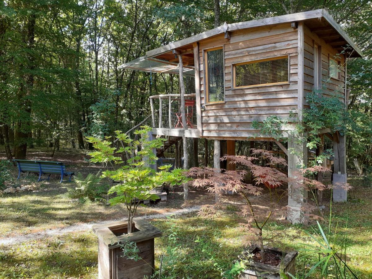 La Cabane De L'Oiseau Couze-et-Saint-Front Luaran gambar