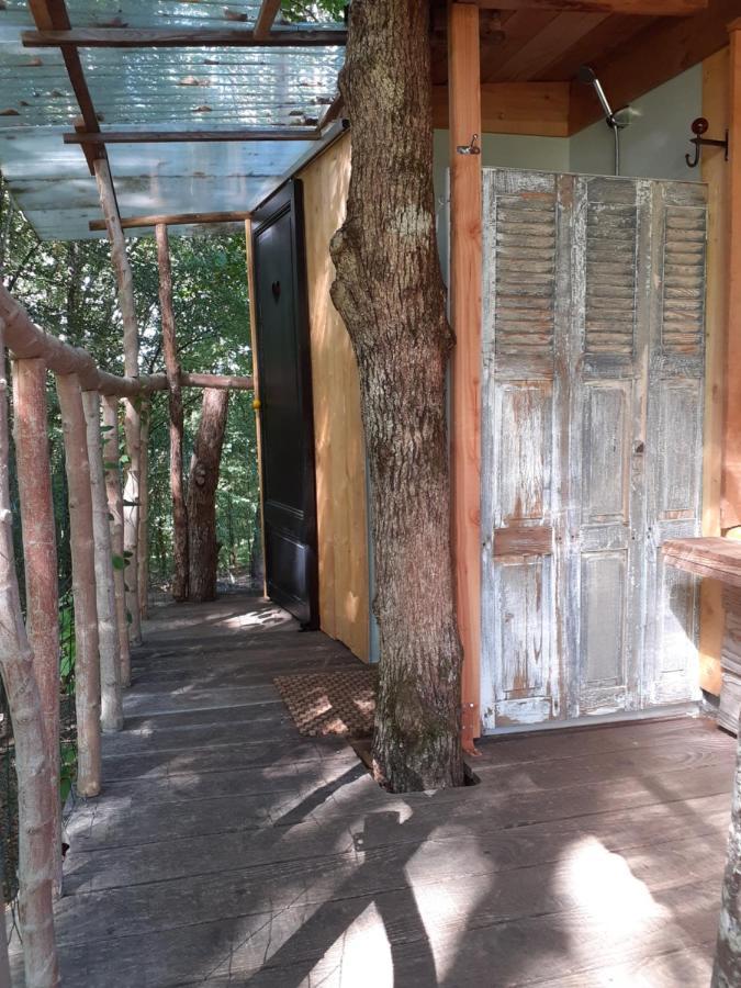 La Cabane De L'Oiseau Couze-et-Saint-Front Luaran gambar