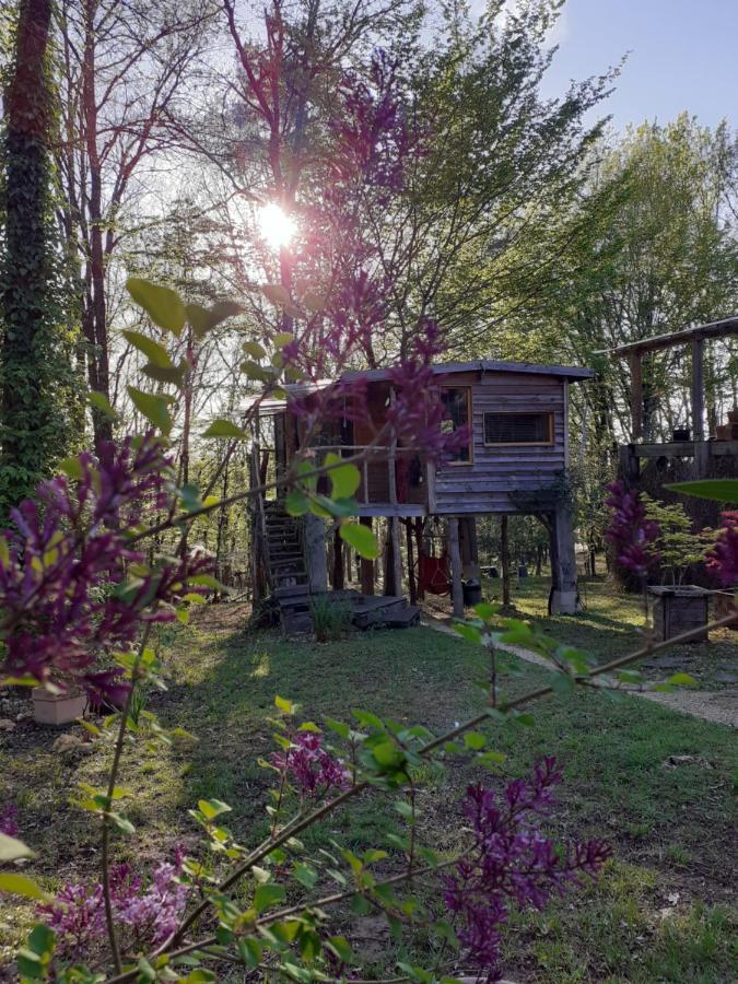 La Cabane De L'Oiseau Couze-et-Saint-Front Luaran gambar