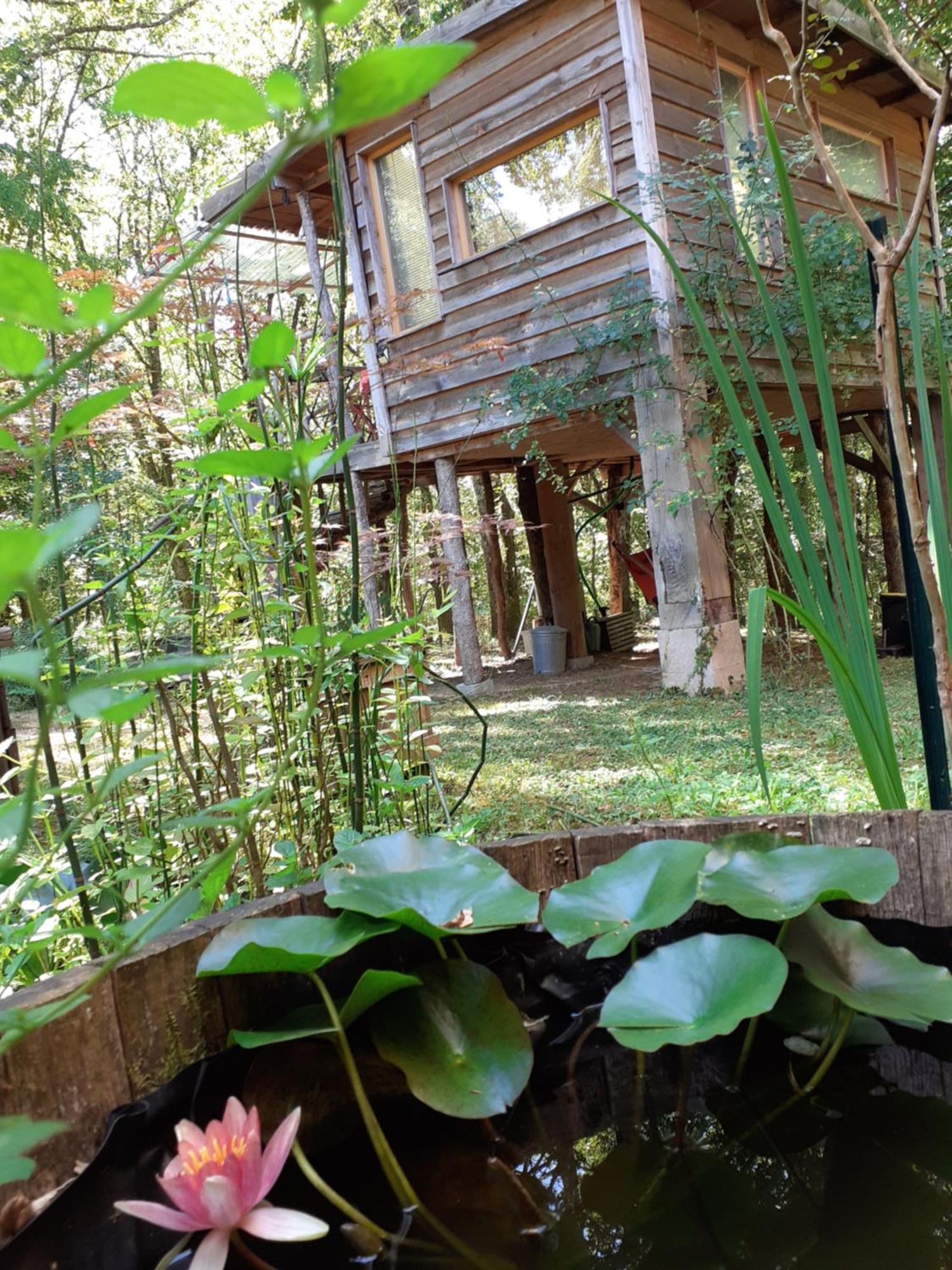 La Cabane De L'Oiseau Couze-et-Saint-Front Luaran gambar