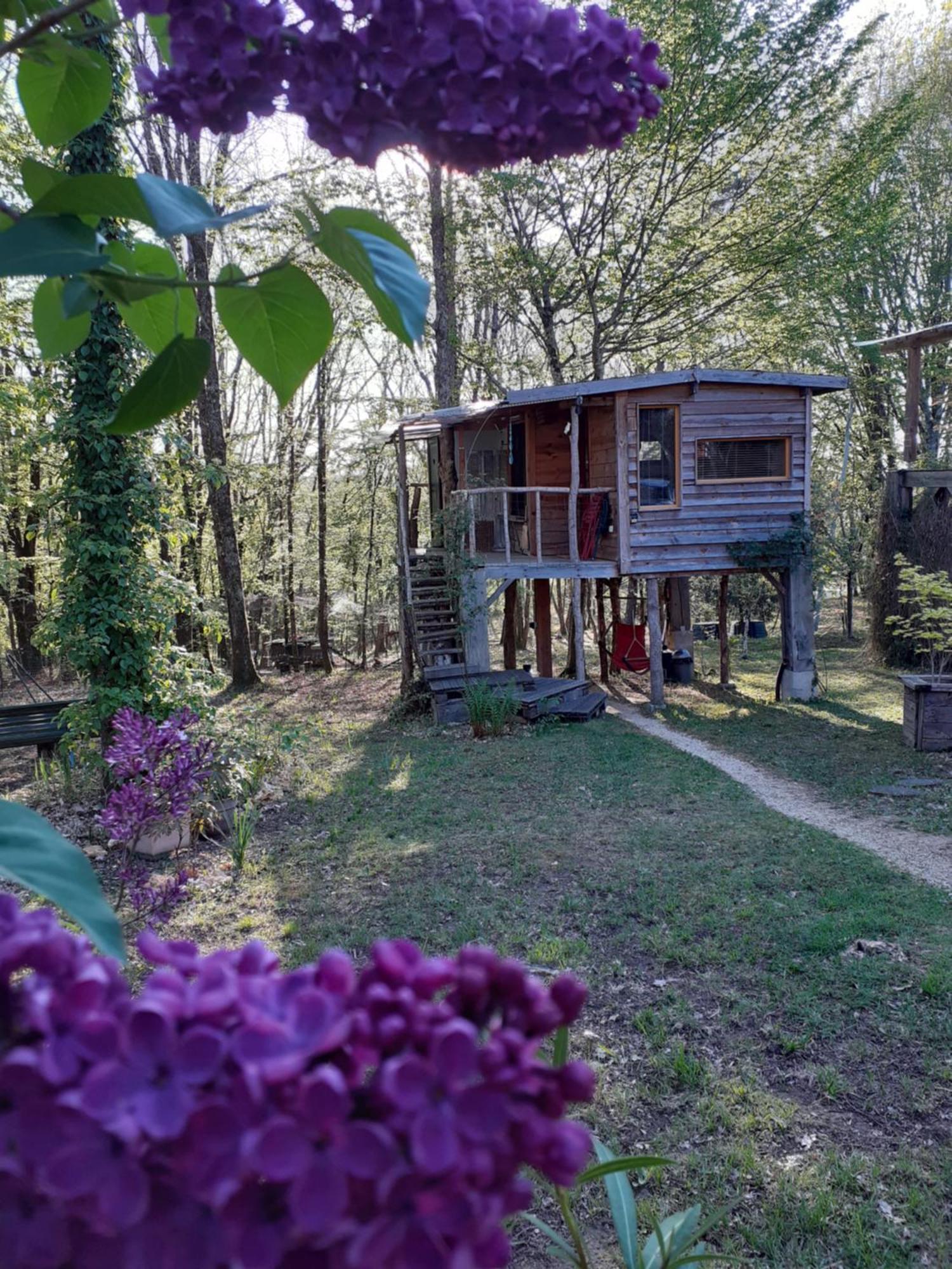 La Cabane De L'Oiseau Couze-et-Saint-Front Luaran gambar