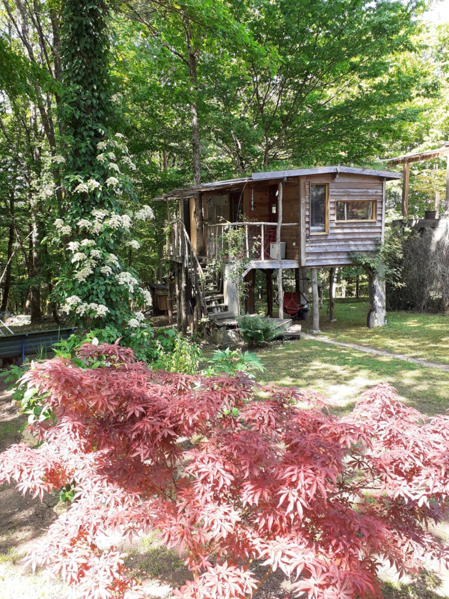 La Cabane De L'Oiseau Couze-et-Saint-Front Luaran gambar